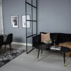 Fjôrd Scheidingswand Van Glas Leif 120x210cm