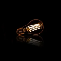 GM Lichtbron LED Filament Peer E27 6W 2100K 450Lm Dimbaar Amberkleurig Glas - Giga Meubel Discount