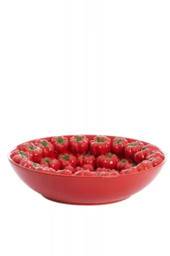 Light & Living Schaal Tamina Rood