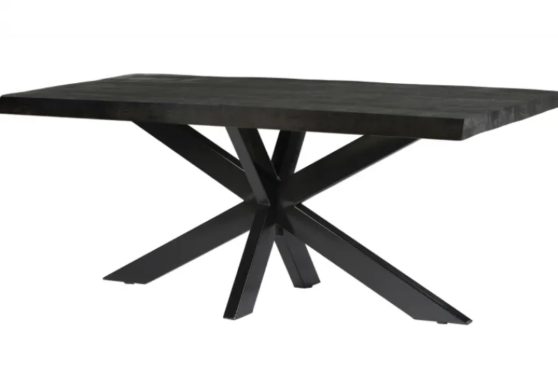Livingfurn Boomstamtafel Norris Spider Mangohout Zwart 180cm