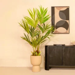 PrettyPlants Kentia Kunstpalm 150cm Discount