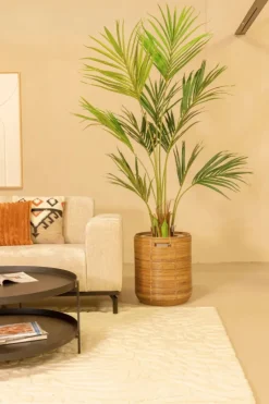 PrettyPlants Kentia Kunstpalm 180cm