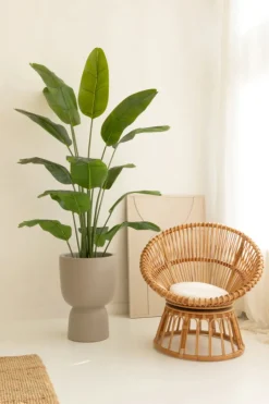 PrettyPlants Kunst Bananenplant Mowgli 180cm