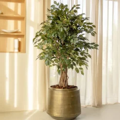 PrettyPlants Kunstplant Ficus Liana 180cm Sale