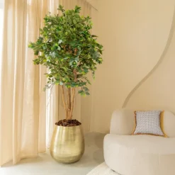 PrettyPlants Kunstplant Ficus Phineas 180cm