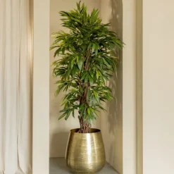 PrettyPlants Kunstplant Longifolia 180cm Sale