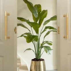 PrettyPlants Kunstplant Strelitzia Joyce 180cm