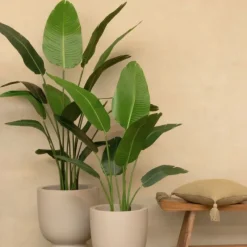 PrettyPlants Kunstplant Strelitzia Mitchel 120cm Sale