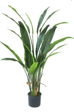 PrettyPlants Kunstplant Strelitzia Nico 160cm Hot