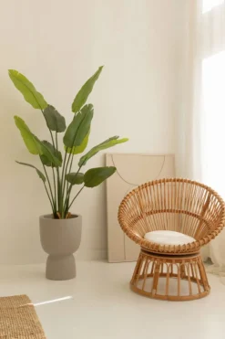 PrettyPlants Kunstplant Strelitzia Maikel 160cm