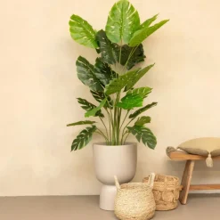 PrettyPlants Monstera Kunstplant Misty 165cm Clearance