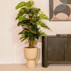 PrettyPlants Monstera Kunstplant Brock 120cm