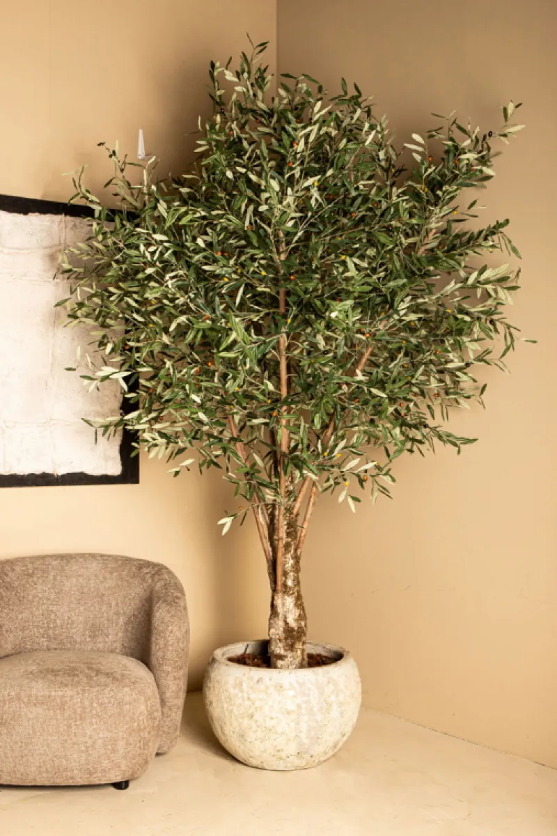 PTMD Kunstboom Olijfboom 265cm