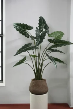PTMD Kunstplant Alocasia L Online