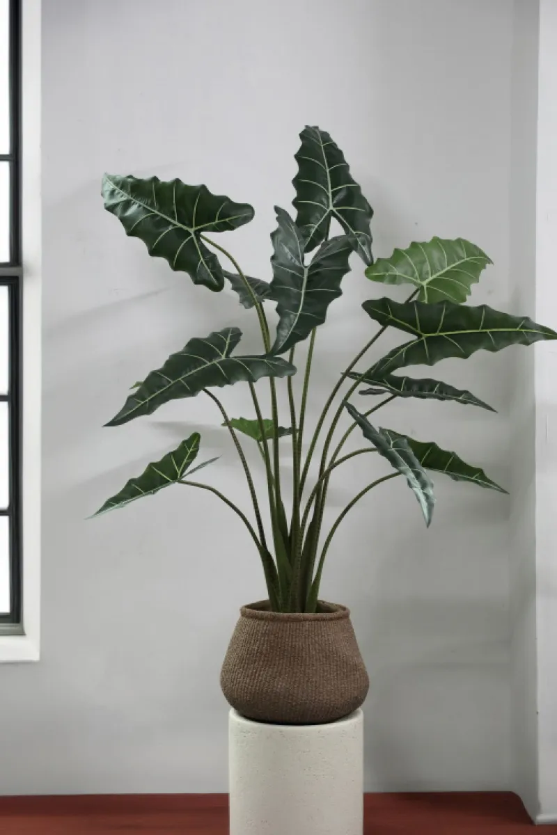 PTMD Kunstplant Alocasia L Online