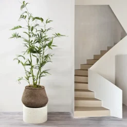 PTMD Kunstplant Bamboo Tree 150cm