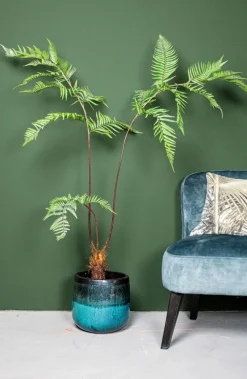PTMD Kunstplant Fern 150cm New