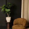 PTMD Kunstplant Ficus L