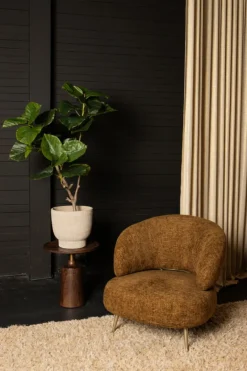 PTMD Kunstplant Ficus L