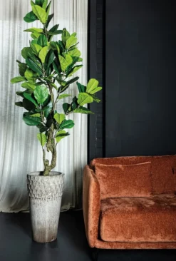 PTMD Kunstplant Ficus Lyrata 220cm