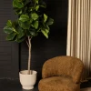 PTMD Kunstplant Ficus M Outlet
