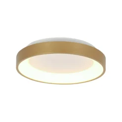 Steinhauer Plafondlamp Ringlede Dun Ø28cm