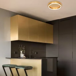 Steinhauer Plafondlamp Ringlux Ø32cm